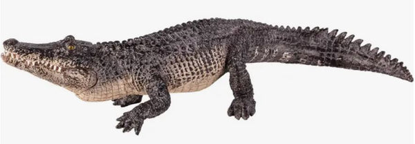 Mojo Alligator