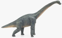 Mojo Brachiosaurus