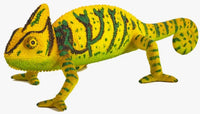 Mojo Chameleon