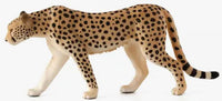 Mojo Male Cheetah