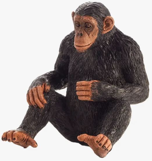 Mojo Chimpanzee