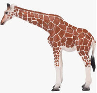 Mojo Giraffe Femal
