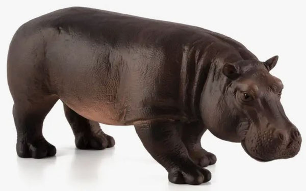 Mojo Hippopotamus Female