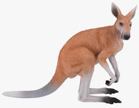Mojo Kangaroo