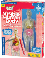 Ooze Labs Visible Human Body