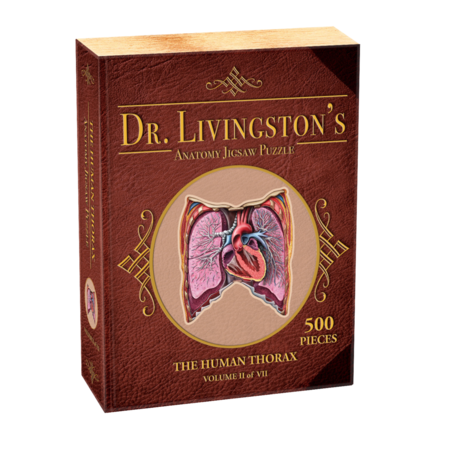 Dr. Livingston's Anatomy Puzzle - The Human Abdomen