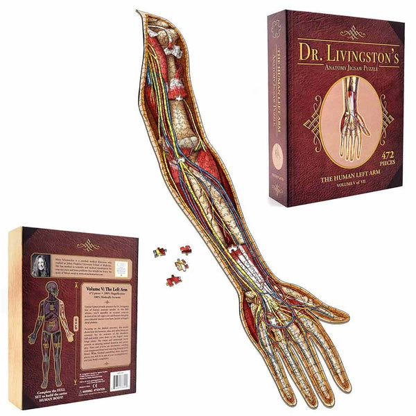 Dr. Livingston's Anatomy Jigsaw Puzzle - The Human Left Arm