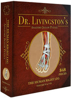 Dr. Livingston's Anatomy Puzzle - The Human Right Leg