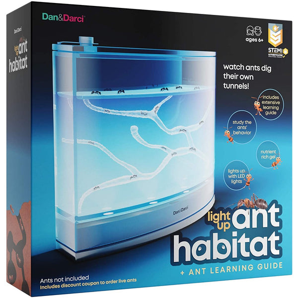 Ant Habitat - Light Up