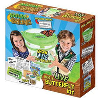 Live Bug & Butterfly Kit