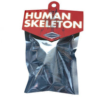 Human Skeleton (Glow in the Dark)