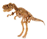 Dig A Dinosaur Skeleton - Tyrannosaurus Rex