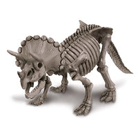 Dig A Dinosaur Skeleton - Triceratops