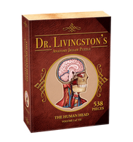 Anatomy Jigsaw Puzzle - The Human Head