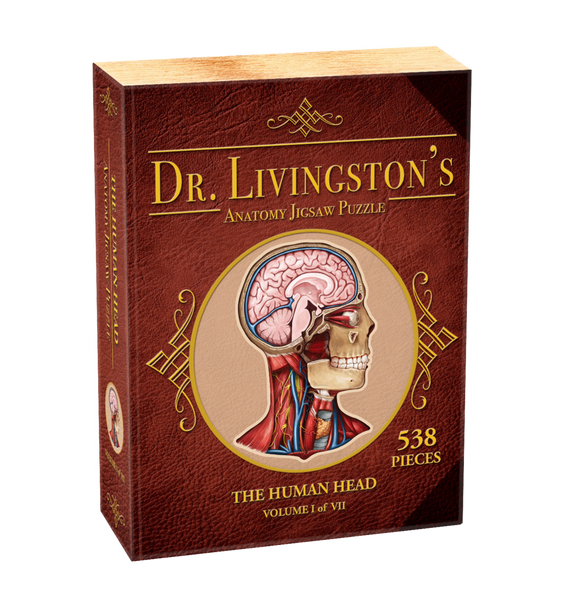 Anatomy Jigsaw Puzzle - The Human Head
